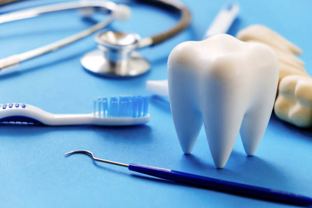 Our Range of Dental Services in Philmont, NY